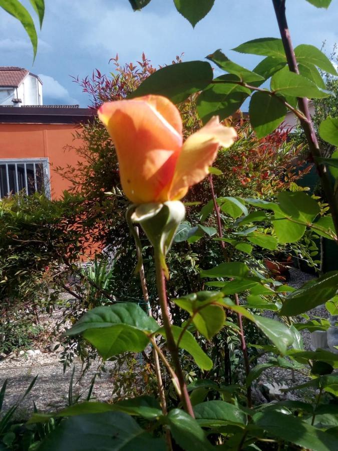 B&B Antica Corte Lombarda Mortara Kültér fotó
