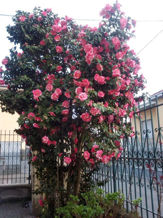 B&B Antica Corte Lombarda Mortara Kültér fotó